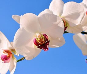 宝坻正规助孕捐卵机构，附正规捐卵机构报名表！
